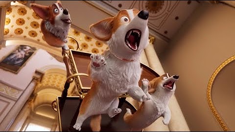 バッキンガム宮殿を飛び出したレックスの大冒険！映画『ロイヤルコーギー レックスの大冒険』予告編