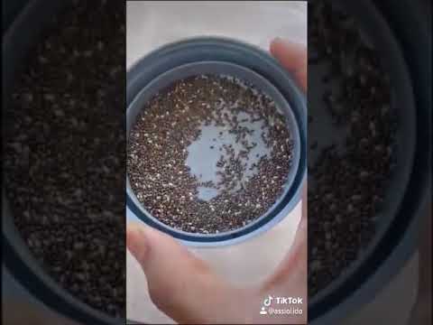 How to grow Microgreens from Chia Seeds Part 1 