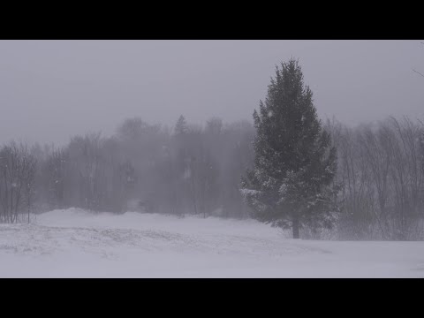 Snow Blizzard Relaxing Wind Sounds 2 Hours / Strong Winds Blowing Snow ...