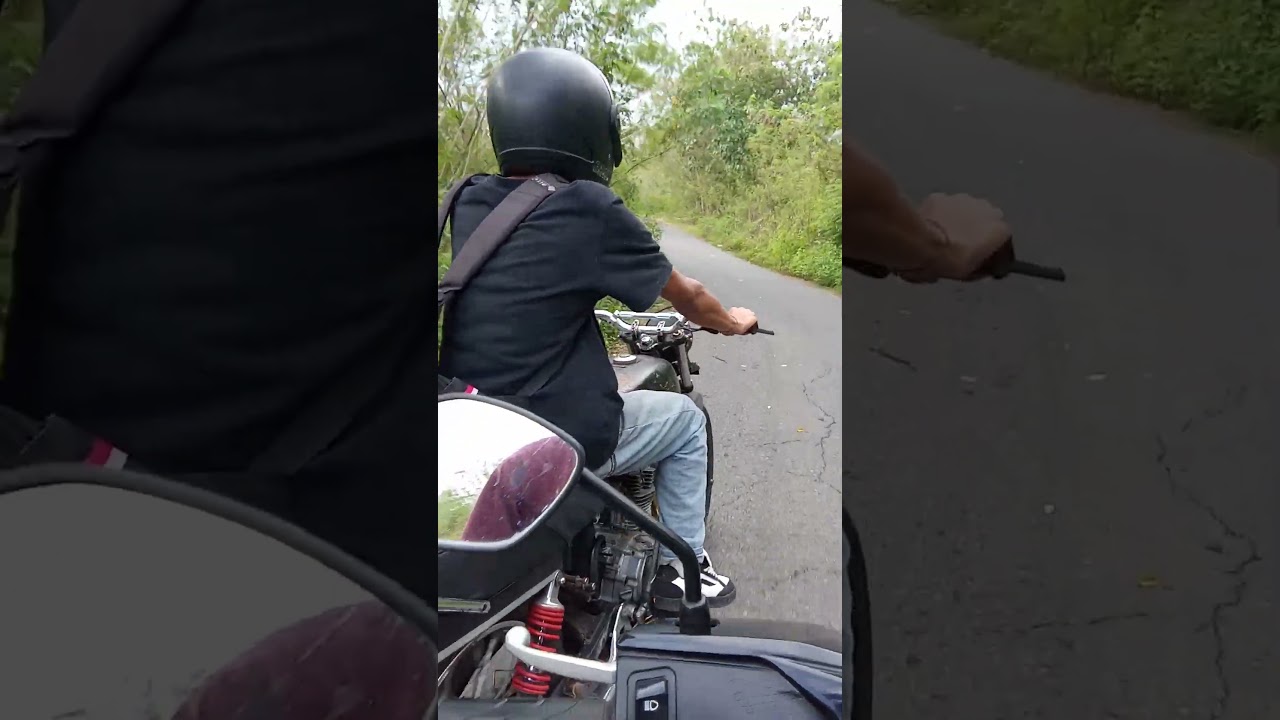 stecu stecu #music #nttpride #bajawa #glpro