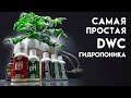 Самая простая DWC гидропоника из канистры своими руками