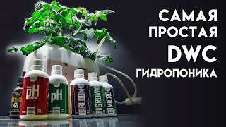 Самая простая DWC гидропоника из канистры своими руками