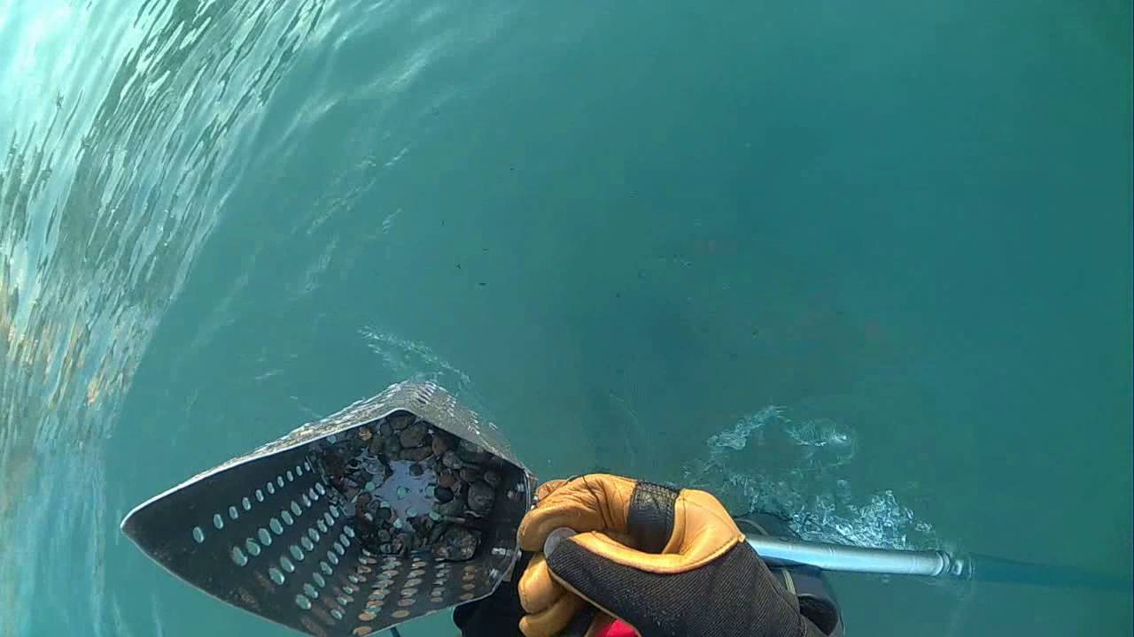 Detectorpro Underwater (old Silver)