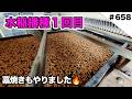 2026水稲播種1回目 藁焼きもやりました🔥