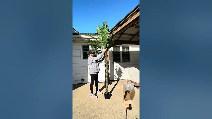 Artificial Palm Tree 8.4ft Tall Sponsored REVIEW
