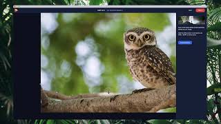 Part 1 - How to Cut The Photo Objects in PhotoVibrance for 3D Parallax Motion Photo? Tutorial screenshot 5