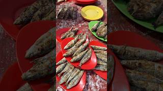 سمك السردين - الجديدة 🇲🇦