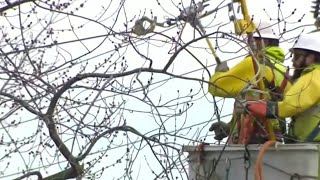 How utility companies prepared before severe storms moved through Southeast Michigan