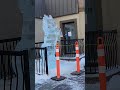 High River Alberta Ice Sculpture #ice sculpture#viralvideo #alberta #canada #viralshorts #trending