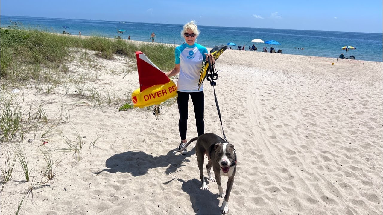 LIVE Snorkeling at Fort Lauderdale Beach w/Karla & Hudson the Lifeguard ...