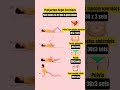 Postpartum Kegel Exercises Four moves to get you in good shape#kegelexercises#postpartum#pelvicfloor