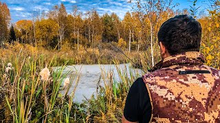 РЫБАЛКА на ТАЁЖНОМ озере, где ВОДЫ по КОЛЕНО