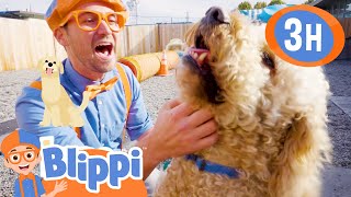 Caring for Cute Animals with Blippi 🐾❤️ + More | Blippi | Moonbug Kids - Healthy Habits for Kids