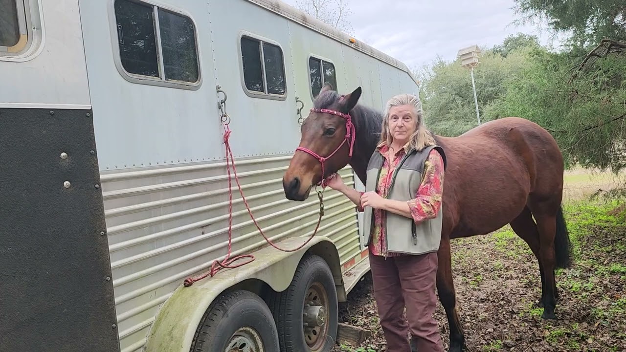 Happy 2026 from KatzHorseWear 