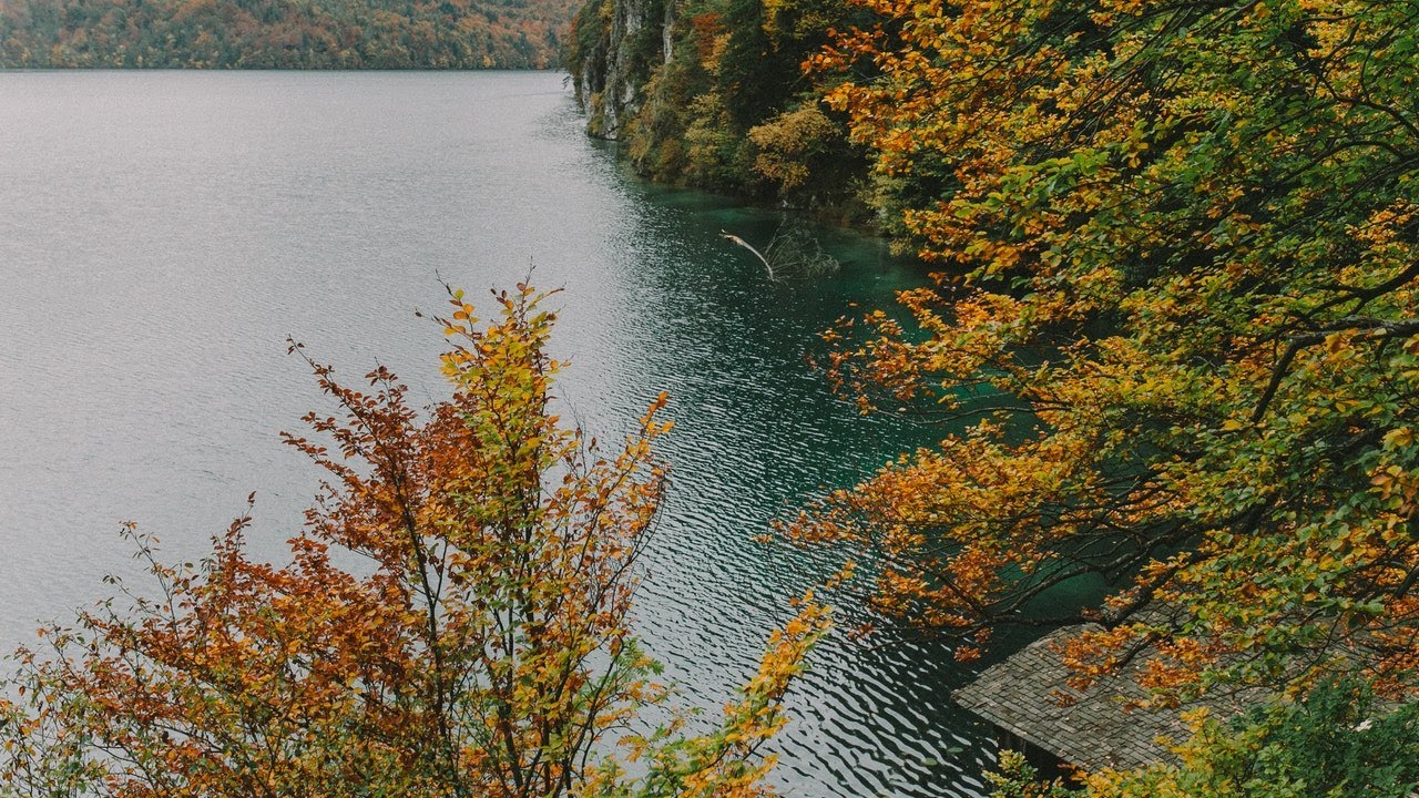 Dreams Of You.Piаnino, Royal,Музыка леса.