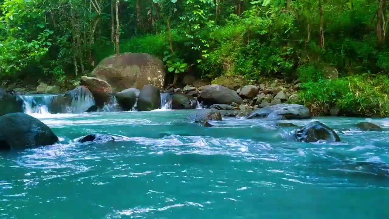 Ambient Water Sounds of a Flowing Stream | Nature White Noise for Sleep, Focus, and Healing