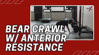 Bear Crawl with Anterior Resistance | Cable Machine Exercise
Learn how to perform a bear crawl with anterior resistance on your ANCORE Pro or ANCOREX with guidance and coaching tips from our team.
Level up your gym with ANCORE here: https://ancoretraining.com/
Have a question? Send us an email at hello@ANCOREtraining.com
OUR SOCIALS
Instagram➡️ https://www.instagram.com/ancoretraining/
Twitter➡️ https://twitter.com/ancoretraining
TikTok➡️ https://www.tiktok.com/@ancoretraining Bear Crawl with Anterior Resistance | Cable Machine Exercise