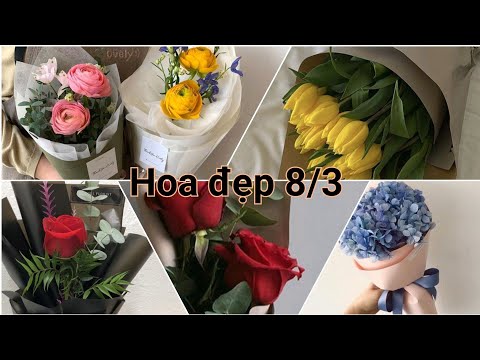 Những mẫu hoa đẹp 8/3 đẹp nhất,ấn tượng nhất|Hoa đẹp 2022