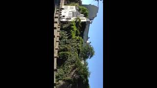 Streets Of Montmartre