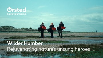 Wilder Humber: Rejuvenating nature’s unsung heroes