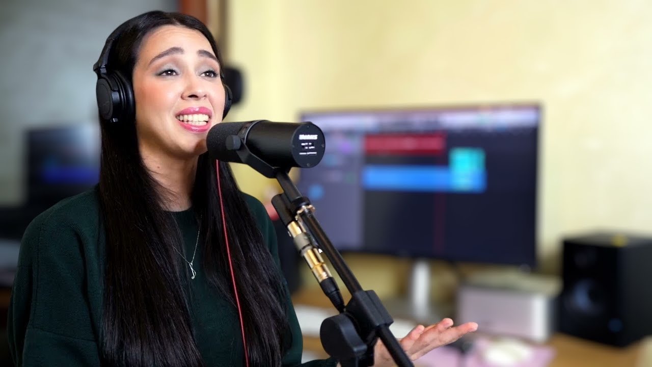 Gospodska ulica - Boris Režak (cover by Dragana)