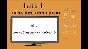 Tự học tiếng Đức hiệu quả | Tiếng Đức A1 | Chia động từ SEIN | hali halo
