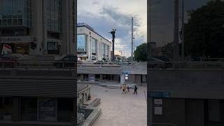 Sofia First Sight