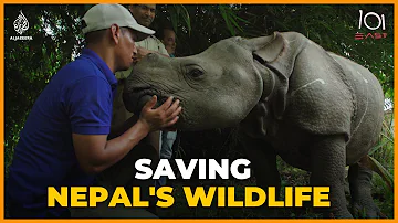 The real story behind Nepal’s wildlife conservation success | 101 East Documentary