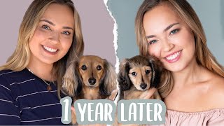 MY NEW PUPPY ONE YEAR LATER: A Year In Review Living With A Miniature Dachshund