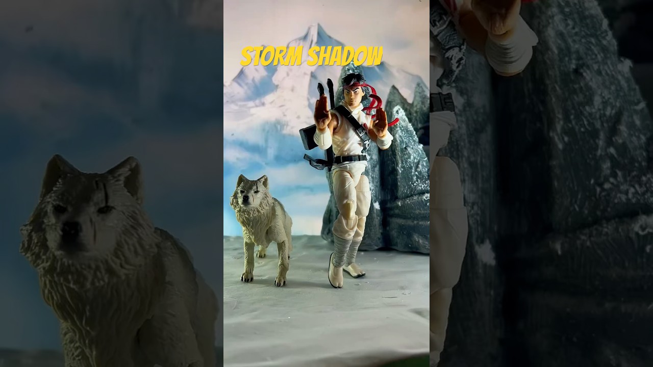 STORM SHADOW 