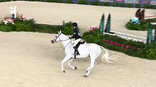 Winning 3'3' Large Junior Hunter 1617, Pennsylvania National Horse Show 2023