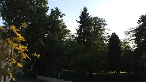 Information Overload