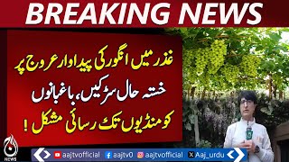 Ghizer is famous in the region for its grape productio - Breaking News