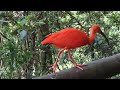 The biggest bird sanctuary in southern hemisphere    