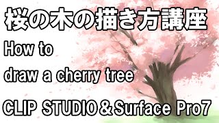 桜の木の描き方講座 How To Draw A Cherry Tree Youtube