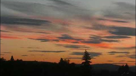 The Editors - Well Worn Hand