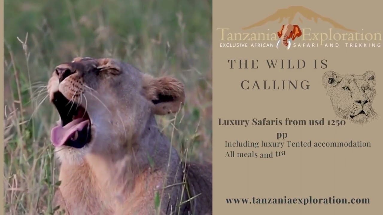 Dreaming of Africa - Tanzania Exploration Travel and Tours