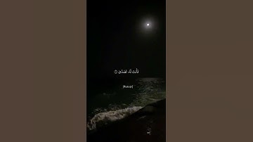 سورة عبس الشيخ ياسر الدوسري