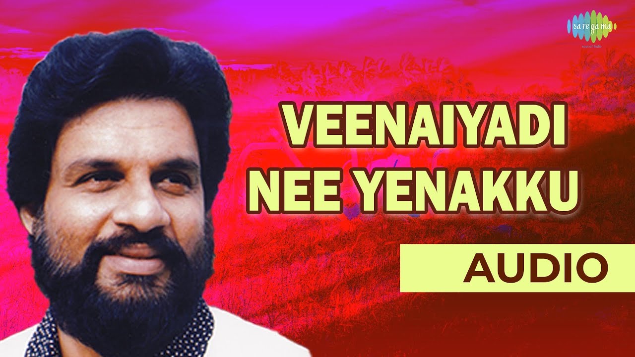 Veenaiyadi Nee Yenakku Audio Song  Yesudas Tamil Hits