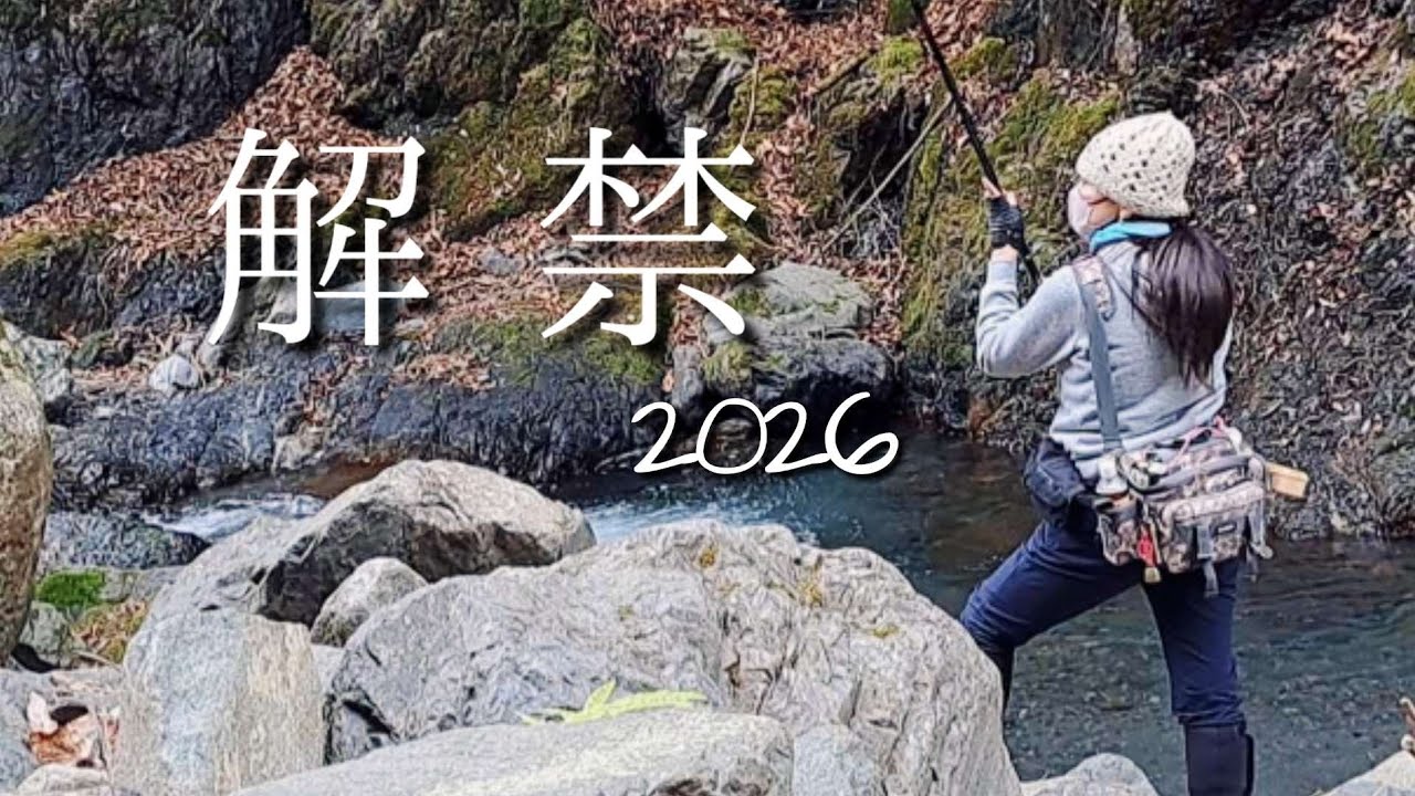 2026渓流釣り解禁！アマゴに会えました