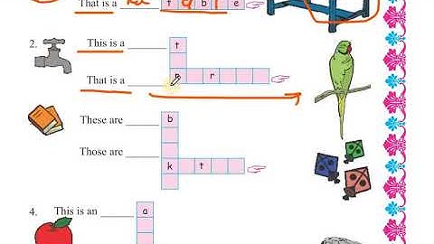 STD 5 UNIT 2 ACTIVITY 9 A B