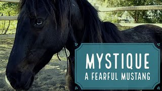 Full A Fearful Mustang | Mystique | Episode 1 News