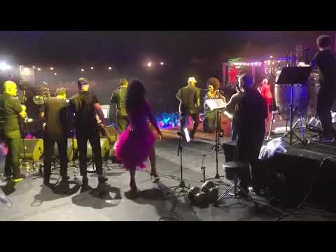 Fue un suceso inolvidable Curacao North Sea Jazz Fest