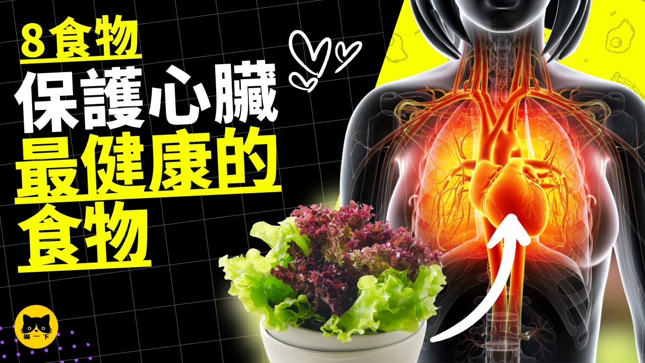健康視頻:心臟健康的食物,8食物,保護心臟健康 | 喵一下健康視頻 - YouTube