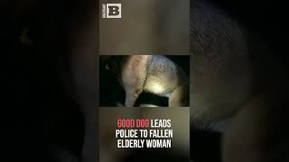 Good Dog Leads Police to Fallen Elderly Woman