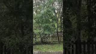 CALL 010-8684935 for viewing and details.