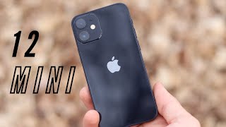 iPhone 12 in 2024: Should You Buy It Now?