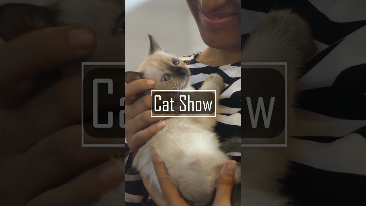 Join the Fun with Your Pet at HyCan'24 – South India's Biggest Pet Event! 🐾🎉