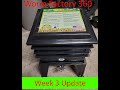 Week 3  first worm ball  worm factory 360 vermicomposting