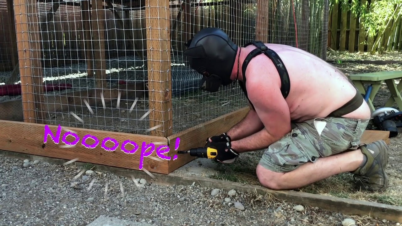 Constructing the Dog Run - Episode 3 - Success... or Fail?